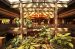 Disney's Polynesian Resort